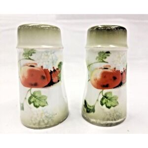 Vintage Favorite Bavaria porcelain Hand Painted signed Salt and Pepper Shakers